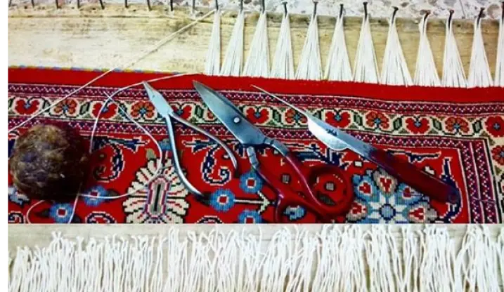 ریشه زنی